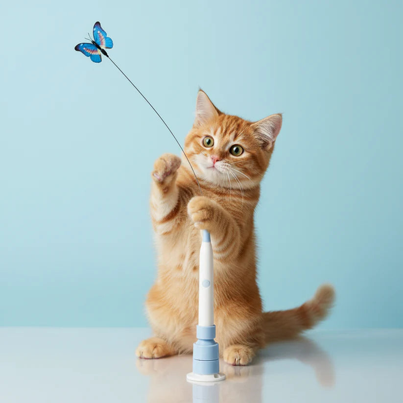 Interactive Butterfly Cat Teaser