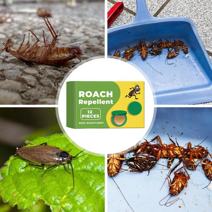NEGUSY™  Plant-Powered Roach Repellent (Pet & Kid Friendly)