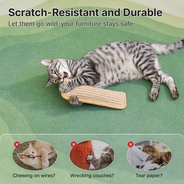 🐱Interactive Catnip Chew Toy