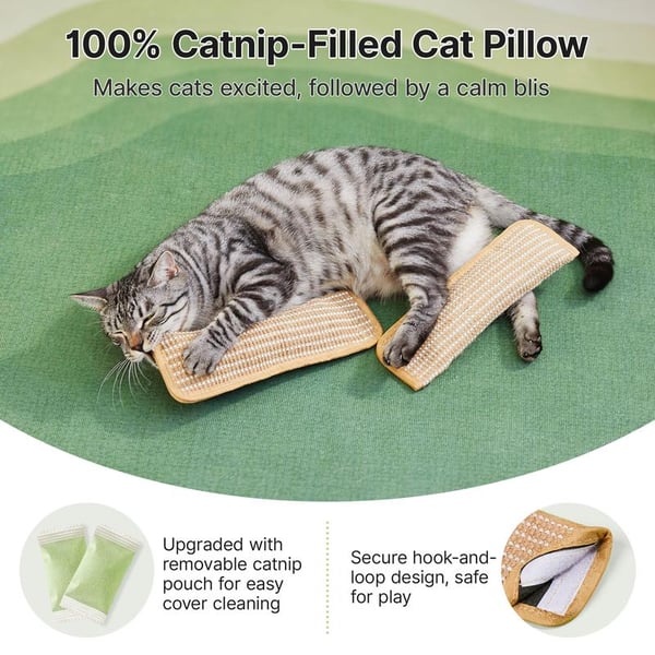🐱Interactive Catnip Chew Toy