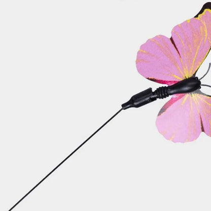 Interactive Butterfly Cat Teaser
